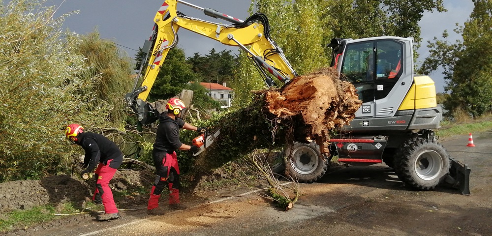 Intervention de désencombrement suite à une chute d'arbre à Marans