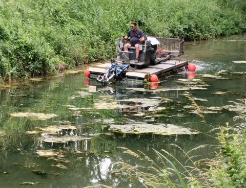 Régulation des végétaux indigènes sur le canal du Mignon à Mauzé