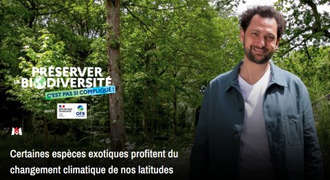 L'IIBSN dans le nouveau programme de M6