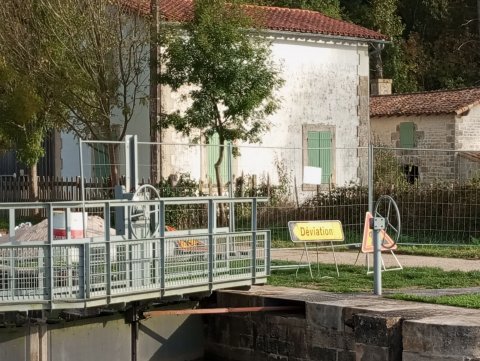 Enlèvement de deux aulnes dans la Sèvre Niortaise en aval de Marais Pin