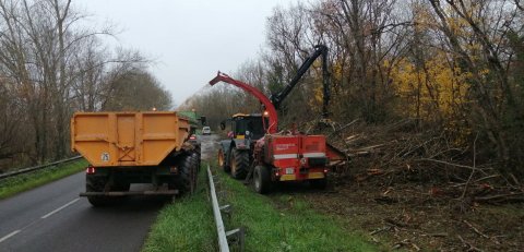 Elagage pour préserver la berge et la voie routière entre Arçais et Damvix